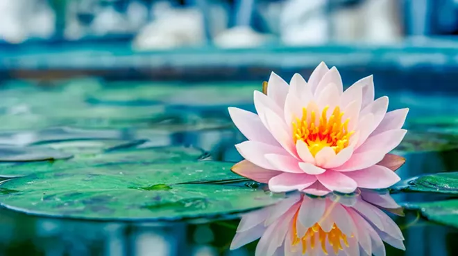 Image: Embodied Self-Awareness: For Connection, Power and Inner Peace