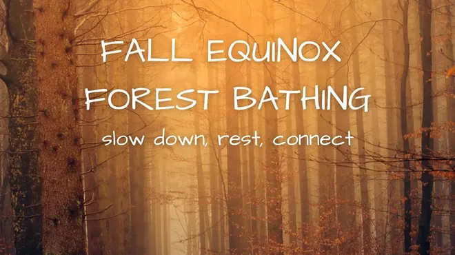 Image: Fall Equinox Forest Bathing