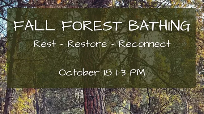 Image: Fall Forest Bathing