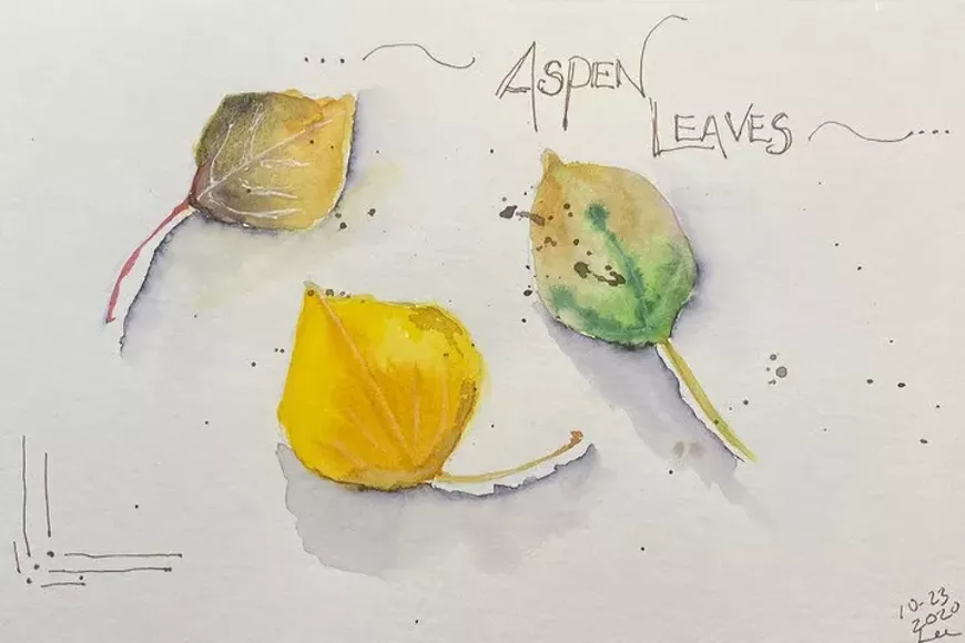 fallleaves-720x480.webp
