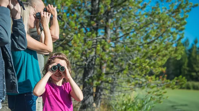 Image: Family Bird Walk