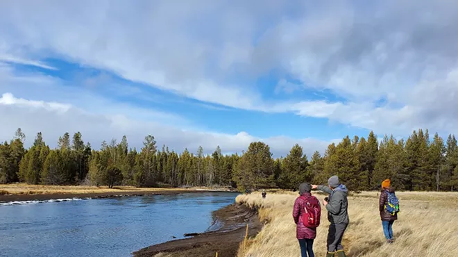 Image: Family Nature Walk