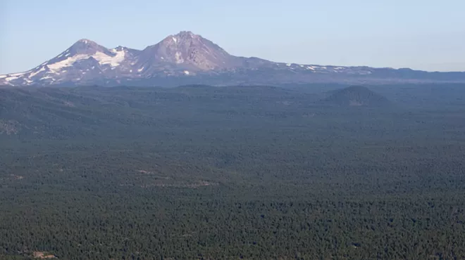 Image: Farewell to Skyline Forest?