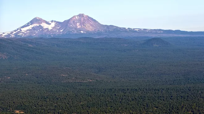 Image: Fidelity Sells Skyline Forest to Singapore-Based Company, Future of Conservation Efforts Unknown