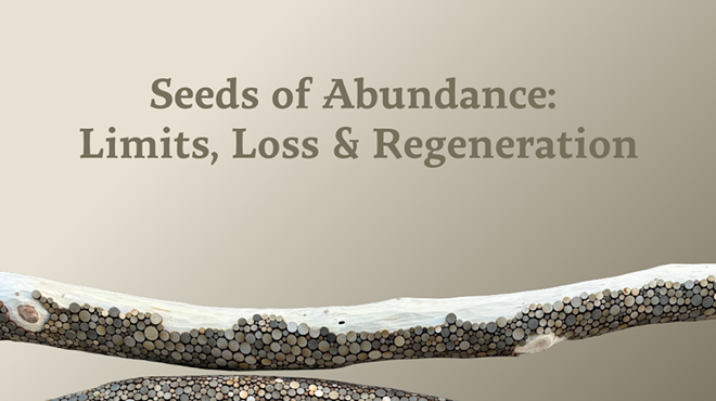 Image: First Friday Opening: Seeds of Abundance: Limits, Loss & Regeneration - Michele Guieu