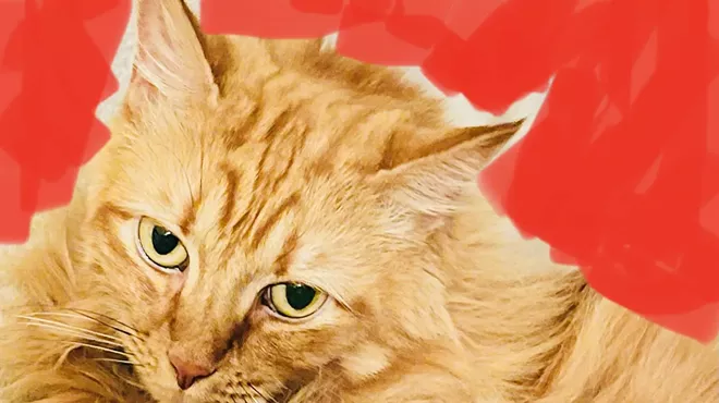 Image: Fluffalove