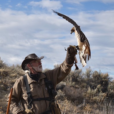 Flying High and Hunting Low with Falconry