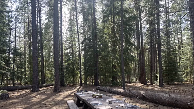 Image: Forage to Table: Guided Tour and 4-Course Dinner