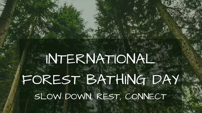 Image: Forest Bathing: International Forest Bathing Day