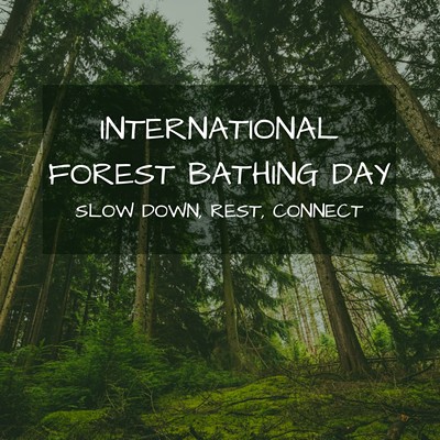 Forest Bathing: International Forest Bathing Day