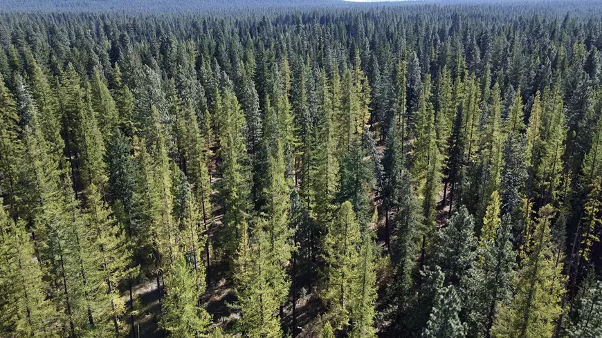 deschuteslandtrust_17927715_medium.webp