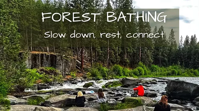 Image: Forest Bathing: Wellness in the Woods