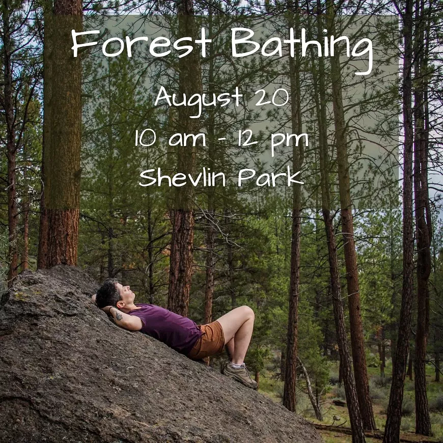 ig-forest-bathing.webp