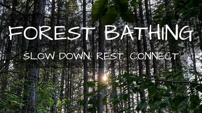 Image: Forest Bathing