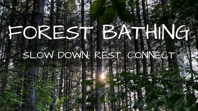 Image: Forest Bathing