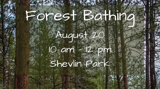 Image: Forest Bathing