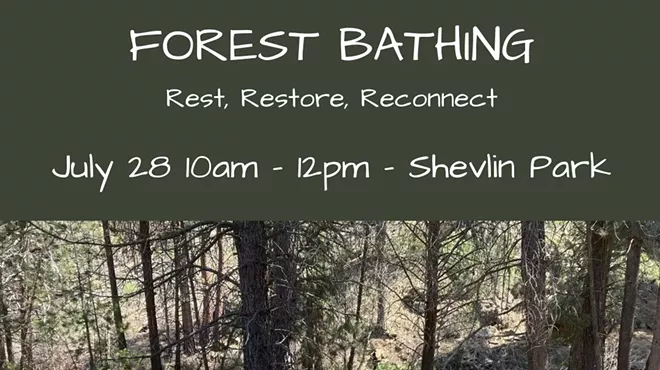 Image: Forest Bathing