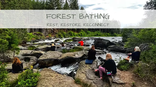 Image: Forest Bathing