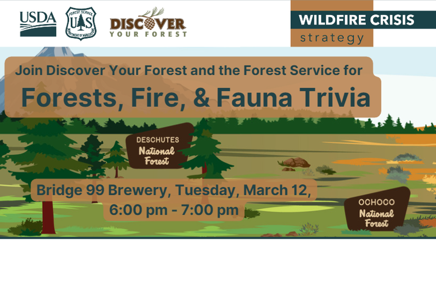 trivia_fb_event_image.png