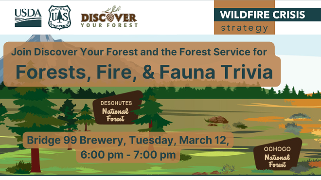 Image: Forests, Fire and Fauna Trivia Night