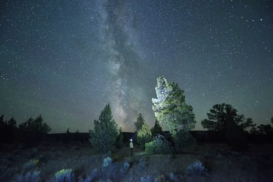 d1372527__2_.webp