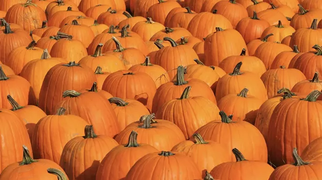 Image: Free Pumpkin Patch for Kids