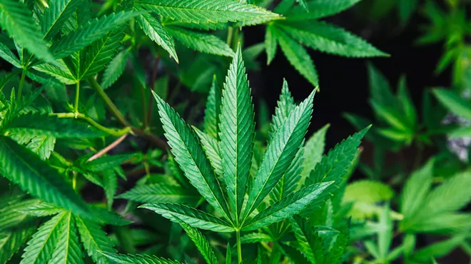Image: From Reefer Madness to Legal Cannabis