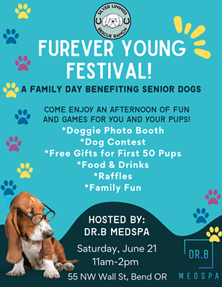Image: Furever Young Festival