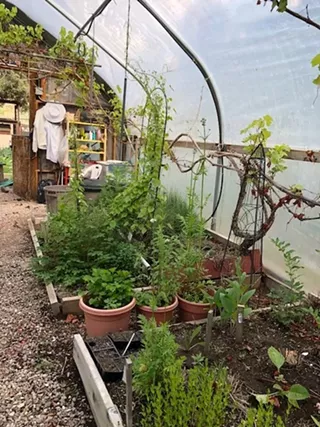 Image: Gardening with Medicinal Herbs with Holly Hutton