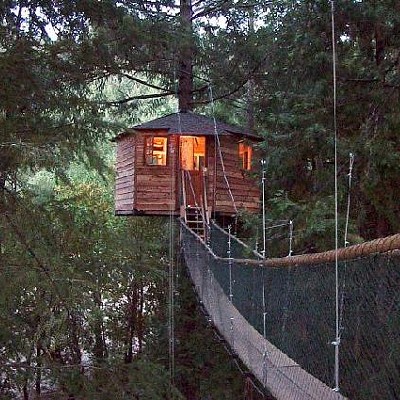 Go Here: Treehouse Resorts