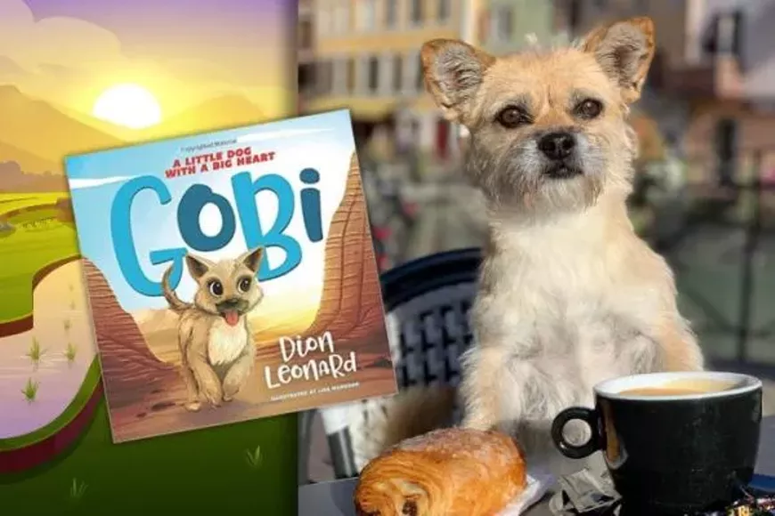 gobi-720x480.webp