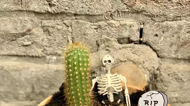 Image: Graveyard Gardens Workshop