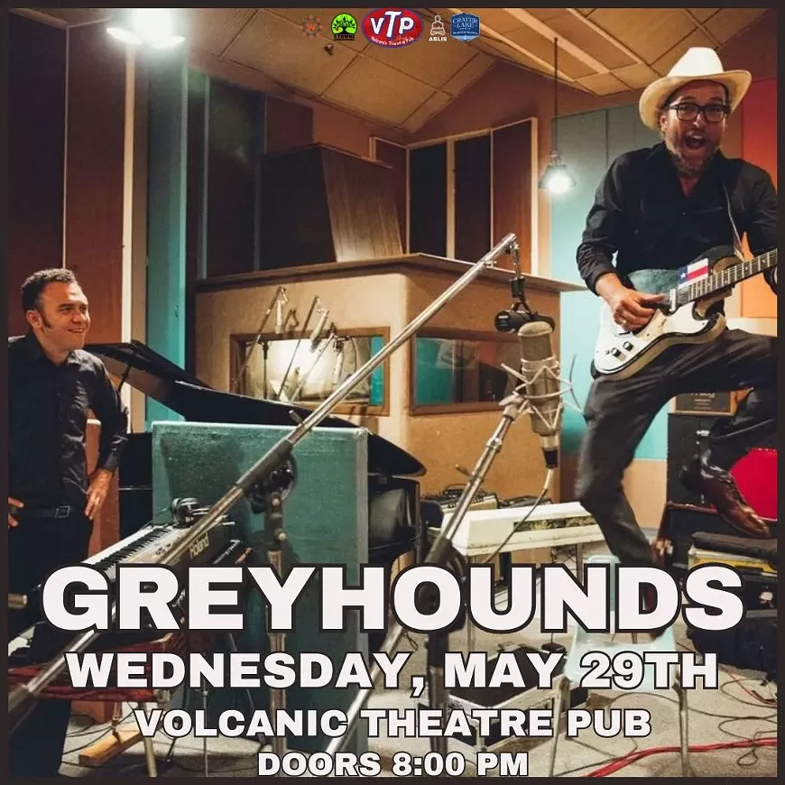greyhounds.webp