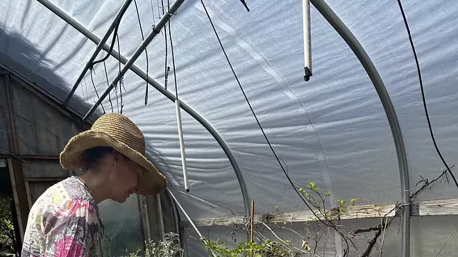 Image: Growing Medicinal Herbs in Central Oregon