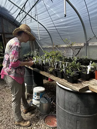 Image: Growing Medicinal Herbs in Central Oregon