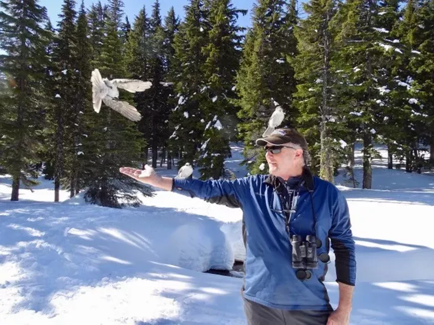 damian_fagan_birding-2.webp