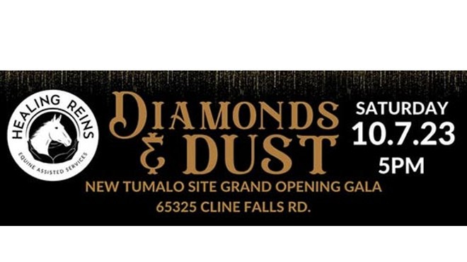 Healing Reins Diamonds &amp; Dust Gala Is Back For First Time Since 2019