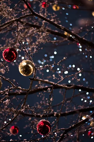 Image: Healing's HOLIDAY CHEER DRIVE-THRU