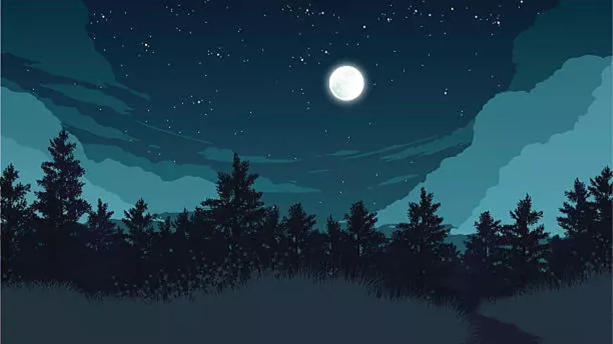 storytime---night-sky-and-stars.webp