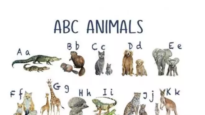 Image: Hello Storytime!