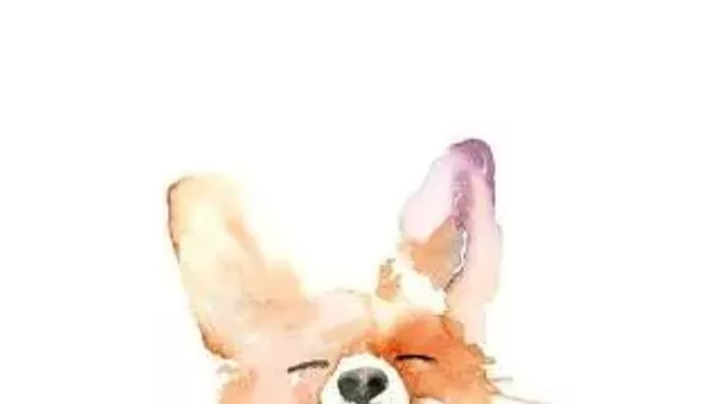 Image: Hello! Storytime