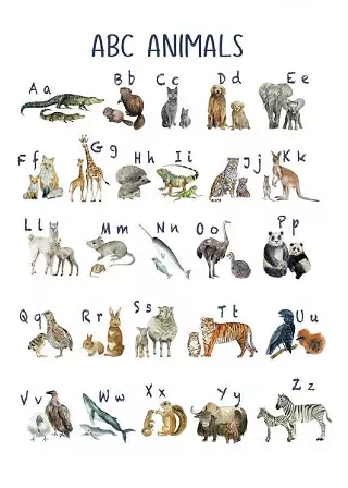 Image: Hello Storytime!