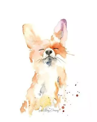 Image: Hello! Storytime
