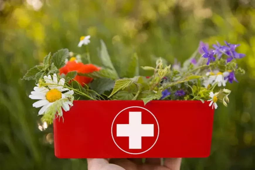 First Aid with plants