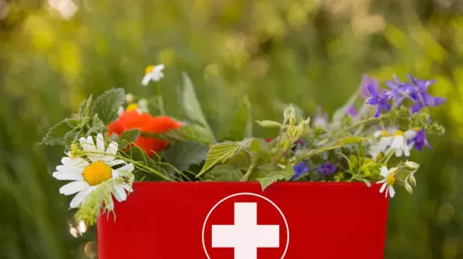 Image: Herbal First Aid 101: Tending with Plants