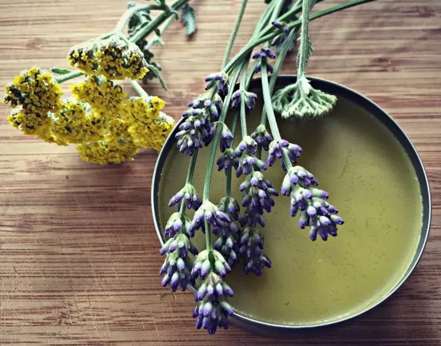 Learn to make medicinal salves
