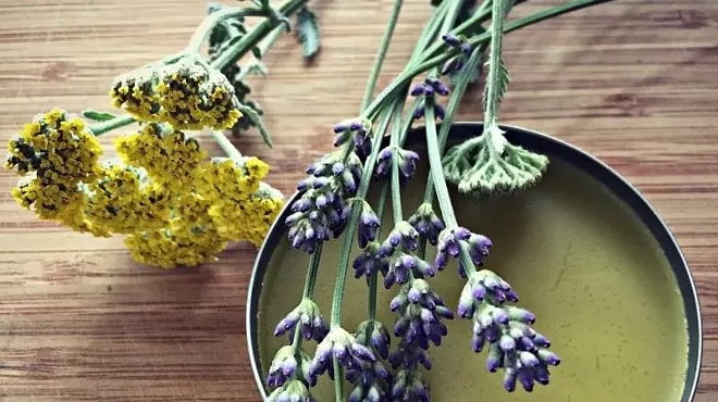 Image: Herbal Medicine Making Fall Series: Herbal Salves w/Dr. Ashley