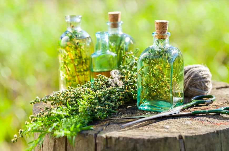 Make herbal medicine at The Peoples Apothecary!