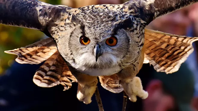 Image: High Desert Museum Reopening!