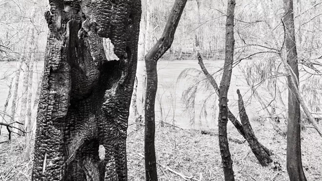 Image: Hollow and Still: Photographs Following Fire by David Paul Bayles